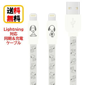 s[ibc Xk[s[ Lightning P[u [dP[u SNG-743IV AC{[ iPhone iPhoneP[u iPad iPadP[u iPod iPodP[u LightningP[u o[Vu f[^] [d  tb