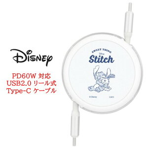 fBYj[LN^[ fBYj[ PD60W Ή USB2.0 [ Type-C P[u~bL[ v[ XeBb` USBType-CP[u ^CvC iPhone [dP[u f[^] [d  [d obN