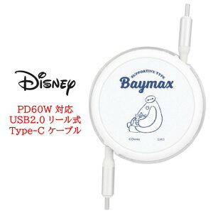 fBYj[LN^[ fBYj[ PD60W Ή USB2.0 [ Type-C P[u~bL[ v[ XeBb` USBType-CP[u ^CvC iPhone [dP[u f[^] [d  [d obN