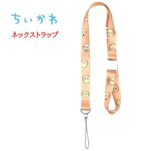 yP5{z  Chiikawa lbNXgbvX}z V_[ Xgbv gуXgbv l[z_[ Ј ʋ  킢 | | ΂߂ IDJ[h rWlX 