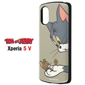 yP2{z gƃWF[ Xperia 10 5 1 VI V IV ϏՌ MiA METAMORU X}zP[Xg WF[ XperiaP[X GNXyA 10VI 1VI 5V 10V 1V 5IV 10IV P[X \j[ Sony AhCh android NA N