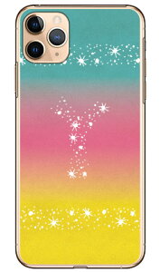 Cf LTD �A���n �C�j�V���� �g���s�J�� Y �i�N���A�j iPhone 11 Pro Max Apple Coverfull �A�b�v�� iphone11 pro max iphone11 pro max �P�[�X iphone11 pro max �J�o�[ �A�C�t�H�[��11�v���}�b�N�X �P�[�X �A�C�t�H�[��11