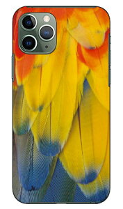 �C���R produced by COLOR STAGE iPhone 11 Pro Apple Coverfull �S�� �󒍐��Y �X�}�z�P�[�X �n�[�h�P�[�X �A�b�v�� iphone11 pro iphone11 pro �P�[�X iphone11 pro �J�o�[ �A�C�t�H�[��11�v�� �P�[�X �A�C�t�H�[��11�v