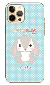 �ۂĂ�������ҁ[�V���[�Y �҂�񂽂� �i�N���A�j iPhone 12 Pro Max Apple �n�[�h�P�[�X iphone12promax �P�[�X iphone12promax �J�o�[ �A�C�t�H�[��12�v���}�b�N�X �P�[�X �A�C�t�H�[��12�v���}�b�N�X �J�o