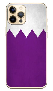 Cf LTD _[r[RNV n R  32 E` iNAj iPhone 12 Pro Max Apple Coverfull Abv iphone12 pro max iphone12 pro max P[X iphone12 pro max Jo[ ACtH[12v}bNX