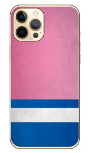 Cf LTD _[r[RNV n R  47 EE{ iNAj iPhone 12 Pro Max Apple Coverfull Abv iphone12 pro max iphone12 pro max P[X iphone12 pro max Jo[ ACtH[12v}