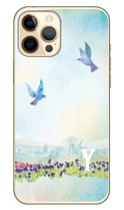 Cf LTD �o�[�h �C�j�V���� Y �i�N���A�j iPhone 12 Pro Max Apple Coverfull �A�b�v�� iphone12 pro max iphone12 pro max �P�[�X iphone12 pro max �J�o�[ �A�C�t�H�[��12�v���}�b�N�X �P�[�X �A�C�t�H�[��12�v���}�b�N�X