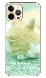 QL iNAj design by LmV^O~ iPhone 12 Pro Max Apple Coverfull Abv iphone12 pro max iphone12 pro max P[X iphone12 pro max Jo[ ACtH[12v}bNX P[X ACtH[12v
