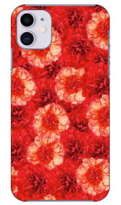 �J�[�l�[�V���� �i���b�h�j produced by COLOR STAGE iPhone 11 Apple Coverfull �S�� �󒍐��Y �X�}�z�P�[�X �n�[�h�P�[�X �A�b�v�� iphone11 iphone11 �P�[�X iphone11 �J�o�[ �A�C�t�H�[��11 �P�[�X �A�C�t�H�[��1