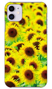 �Ђ܂�蔨 produced by COLOR STAGE iPhone 11 Apple Coverfull �J�o�t�� �S�� �󒍐��Y �X�}�z�P�[�X �n�[�h�P�[�X �A�b�v�� iphone11 iphone11 �P�[�X iphone11 �J�o�[ �A�C�t�H�[��11 �P�[�X �A�C�t�H�[��11 �J�o