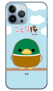 ƂV[Y J iNAj iPhone 13 Pro Max Apple X}zP[X n[hP[X iphone13promax P[X iphone13promax Jo[ ACtH[13v}bNX P[X ACtH[13v}bNX Jo