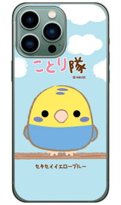 ƂV[Y ZLZCCG[u[ in[hP[Xj iPhone14 Pro Max (6.7C`)iphone 14 pro max P[X iphone 14 pro max { ی iphone 14 pro max case iphone 14 pro max tB iphone 14 pro max NA