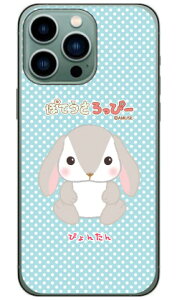 ۂĂҁ[V[Y ҂񂽂 in[hP[Xj iPhone14 Pro Max (6.7C`)iphone 14 pro max P[X iphone 14 pro max { ی iphone 14 pro max case iphone 14 pro max tB iphone 14 pro max NA iphon