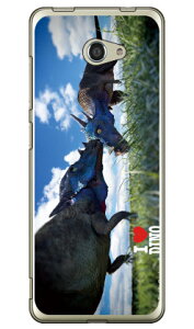 Dinosaur Design fUCV[Y upLPt@TEXv i\tgTPUNAj BASIO4 KYV47E񂽂X}z2E2+ A001KCEA201KC auEY!mobile kyv47 Jo[ kyv47 P[X basio Jo[ basio P[X basio k