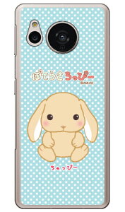 ۂĂҁ[V[Y ҁ[ in[hP[Xj AQUOS sense7 SHG10ESH-53CESH-M24 aquos sense7 P[X aquos sense7 simt[ aquos sense7 sh53cP[X aquos sense7 { ی aquos sense7 Jo[ aquos sense7 