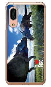 Dinosaur Design fUCV[Y upLPt@TEXv iNAj AQUOS sense3 SHV45ESH-02MESH-M12Esense3 lite auEdocomoEMVNOX}ziSIMt[[jEyVoC au shv45 sh-02m sh-m12 Jo[