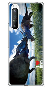 Dinosaur Design fUCV[Y upLPt@TEXv iNAj Xperia 1 II SOG01ESO-51AEXQ-AT42 auEdocomoEMVNOX}ziSIMt[[j xperia 1 II P[X xperia 1 II Jo[ 1 II P[X 1 II J