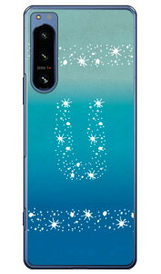 Cf LTD An CjV I[V U in[hP[Xj Xperia 5 IV SOG09ESO-54CEA204SOEXQ-CQ44 Coverfull xperia 5 iv P[X xperia 5 iv SO-54C P[X xperia 5 iv Yی xperia 5 iv P[X킢 xperia 5 iv