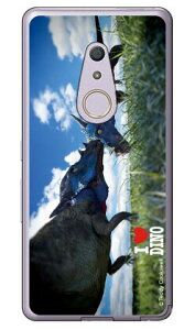 Dinosaur Design fUCV[Y upLPt@TEXv i\tgTPUNAj arrows Be4 F-41A docomo docomo arrows be4 f-41apP[X f41aP[X P[X Jo[ CASE P[X ANZT[ X}zP[