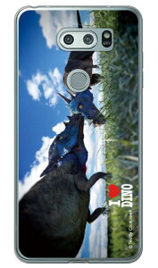 Dinosaur Design fUCV[Y upLPt@TEXv i\tgTPUNAj V30+ L-01KEJOJO L-02KEisai V30+ LGV35 docomoEau v30+ P[X v30+ Jo[ V30 WW CTC l-01k l-02k lgv35 P[X V30 