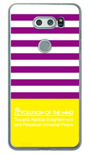 Panel border �p�[�v��×�C�G���[ �i�N���A�j design by ROTM V30+ L-01K�EJOJO L-02K�Eisai V30+ LGV35 docomo�Eau SECOND SKIN v30+ �P�[�X v30+ �J�o�[ V30 �W���W�� �C�T�C l-01k l-02k lgv35 �P�[�X V30 �W���W�� �C�T�C l-01k 