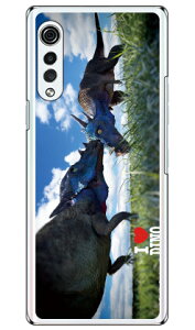 Dinosaur Design fUCV[Y upLPt@TEXv iNAj LG VELVET L-52A docomo n[hP[X l-52a P[X l-52a Jo[ lg velvet l-52a P[X lg velvet l-52a Jo[ lg l-52a P[X lg l-52a 