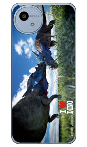 Dinosaur Design �����f�U�C���V���[�Y �u�p�L�P�t�@���T�E���X�v (�N���A) AQUOS wish4 SH-52E SHG13 A402SH A403SH SH-M27 ���� �󒍐��Y �{�� �ی� �n�[�h�P�[�X �X�}�z�J�o�[�@��������