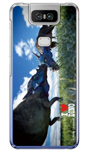 Dinosaur Design fUCV[Y upLPt@TEXv iNAj ZenFone 6 ZS630KL MVNOX}ziSIMt[[j n[hP[X zenfone 6 P[X zenfone 6 Jo[ zs630kl P[X zs630kl Jo[ [