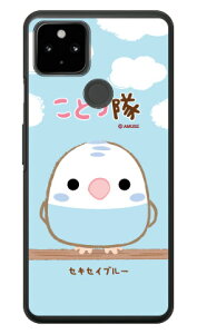 ���Ƃ���V���[�Y �Z�L�Z�C�u���[ �i�N���A�j Google Pixel 4a �i5G�j MVNO�X�}�z�iSIM�t���[�[���j�ESoftBank google pixel 4a 5G �P�[�X google pixel 4a 5G �J�o�[ �O�[�O���s�N�Z��4a5G�P�[�X �O�[�O���s�N�Z