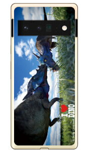 Dinosaur Design fUCV[Y upLPt@TEXv i\tgTPUNAj Google Pixel 6 Pro MVNOX}ziSIMt[[j google pixel 6 pro P[X google pixel 6 pro Jo[ O[OsNZ6v