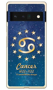 Cf LTD 12fUCV[Y I iNAj Google Pixel 6 Pro MVNOX}ziSIMt[[j Coverfull google pixel 6 pro P[X google pixel 6 pro Jo[ O[OsNZ6vP[X O[OsNZ6