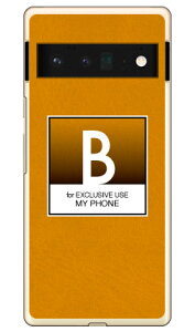 Cf LTD �N���V�b�N �C�j�V���� B �i�N���A�jGoogle Pixel 6 Pro MVNO�X�}�z�iSIM�t���[�[���j Coverfull google pixel 6 pro �P�[�X google pixel 6 pro �J�o�[ �O�[�O���s�N�Z��6�v���P�[�X �O�[�O���s�N�Z��6�v���J