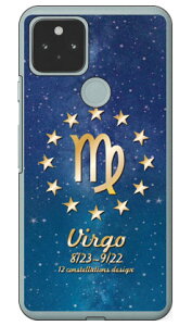 Cf LTD 12�����f�U�C���V���[�Y ������ �i�N���A�j Google Pixel 5 MVNO�X�}�z�iSIM�t���[�[���j�Edocomo�Eau�ESoftBank Coverfull google pixel 5 �P�[�X google pixel 5 �J�o�[ �O�[�O���s�N�Z��5�P�[�X �O�[�O���s
