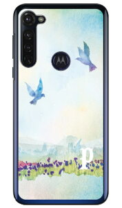 Cf LTD �o�[�h �C�j�V���� P �i�N���A�j moto g PRO XT2043 MVNO�X�}�z�iSIM�t���[�[���j Coverfull moto g pro �P�[�X moto g pro �J�o�[ ���gg�v�� �P�[�X ���gg�v�� �J�o�[ ���g�W�[�v�� �P�[�X ���g�W�[�v�� 