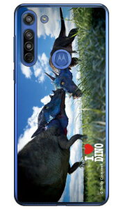 Dinosaur Design fUCV[Y upLPt@TEXv iNAj moto g8 XT2045 MVNOX}ziSIMt[[j n[hP[X moto g8 P[X moto g8 Jo[ gg8 P[X gg8 Jo[ gW