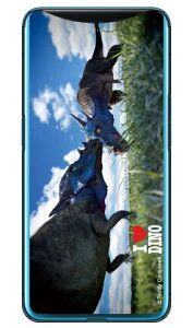 Dinosaur Design fUCV[Y upLPt@TEXv iNAj Find X MVNOX}ziSIMt[[j find x X}z find x X}[gtH find x X}zP[X find x X}zJo[ t@C