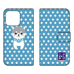 ΎOZV[Y 蒠^X}[gtHP[X ^CK iPhone14 Pro Max (6.7C`)iphone 14 pro max P[X iphone 14 pro max { ی iphone 14 pro max case iphone 14 pro max tB iphone 14 pro max NA ip