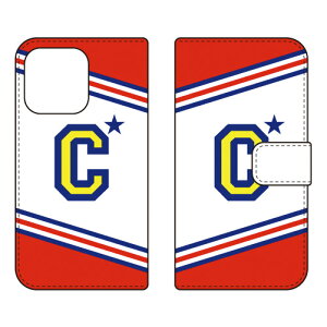 蒠^X}[gtHP[X Cf LTD `A CjV At@xbg C ibhj iPhone14 Pro (6.1C`) Coverfulliphone 14 pro P[X iphone 14 pro { ی iphone 14 pro tB iphone 14 pro X}zP[