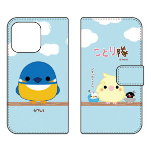 ƂV[Y 蒠^X}[gtHP[X JZ~ iPhone14 Pro (6.1C`)iphone 14 pro P[X iphone 14 pro { ی iphone 14 pro tB iphone 14 pro X}zP[X X}zJo[ iphone 14 pro case i