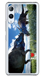 Dinosaur Design fUCV[Y upLPt@TEXv iNAj Rakuten Hand P710E5G P780 yVoC n[hP[Xp710 P[X p710 Jo[ yVoC P[X Jo[ X}zP[X X