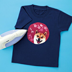 SANWA SUPPLYiTTvCj CNWFbgJ[zpACvg JP-TPRCLNA6