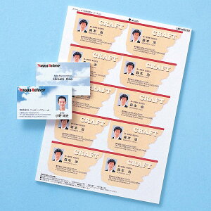 SANWA SUPPLYiTTvCj J[[U[phiȂE}bgj LBP-MMC10NCN p h IDJ[h }CN~VJbg LBP-MMC10N hJ[h J[[U[p Ȃ }bg 10