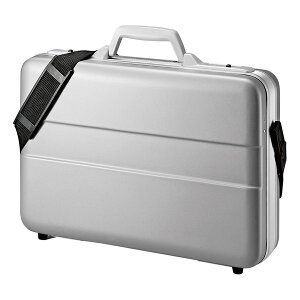yz SANWA SUPPLYiTTvCj ABSn[hPCP[X BAG-ABS5N2p\RobO p\RP[X pcP[X A^bVP[X BAG-CA9BK2 p\RP[X ABS n[hP[X 14C`Ch p