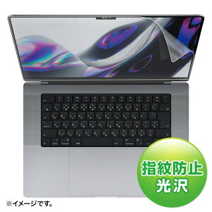 SANWA SUPPLYiTTvCj MacBook Pro 2021 16C`ptیwh~tB LCD-MBP212FP