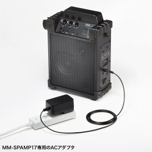 SANWA SUPPLY�i�T�����T�v���C�j AC�A�_�v�^�iMM�|SPAMP17�p�j