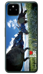 Dinosaur Design fUCV[Y upLPt@TEXv i\tgTPUNAj Google Pixel 5a i5Gj SoftBank google pixel 5a 5G P[X google pixel 5a 5G Jo[ O[OsNZ5a5GP[X O[O