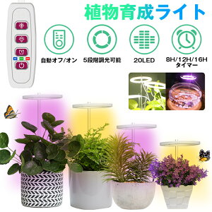 A琬Cg LED ^C}[ A琬LED ϗtA琬Cg ⑫ A琬 gtXyNg 5Ki 20LEDv z ԂƐ ͔|Cg k͔|v ƕs A