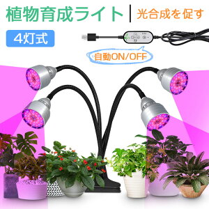 A琬Cg ^C}[ LEDA琬 ϗtA A 4 Nbv tXyNg 5Ki 104LED 琬v 3F[h ͔|Cg k͔|v 360°߉\ ⑫ 
