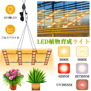 y^͔|624LEDzA琬Cg LED ^͔|琬Cg pl  O tXyNg ϗtA A A琬Cg LED 琬Cg ACg UV \[[ led A琬Cg 