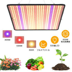 y500LEDzA琬Cg LED pl  Op tXyNg ϗtA A A琬Cg LED 琬Cg ACg 600W \[[ led A琬Cg k͔|Cg ȃGl 